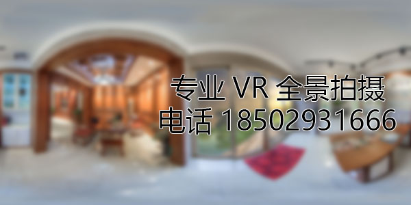 新建VR全景技术在未来可能的发展方向和应用领域?